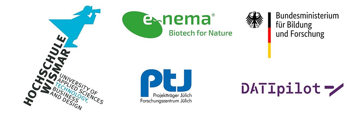 The picture shows the logos of five organisations: Wismar University of Applied Sciences, e-nema, Federal Ministry of Education and Research (BMBF), Project Management Jülich (PtJ) and DAtpilot. The logos represent the partners involved in the project.